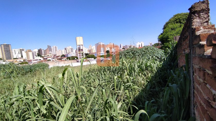 Terreno para comprar em Campos Elíseos, Ribeirão Preto - Terreno/Lote (unidade) - foto 4 código 63074