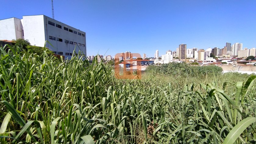 Terreno para comprar em Campos Elíseos, Ribeirão Preto - Terreno/Lote (unidade) - foto 5 código 63074