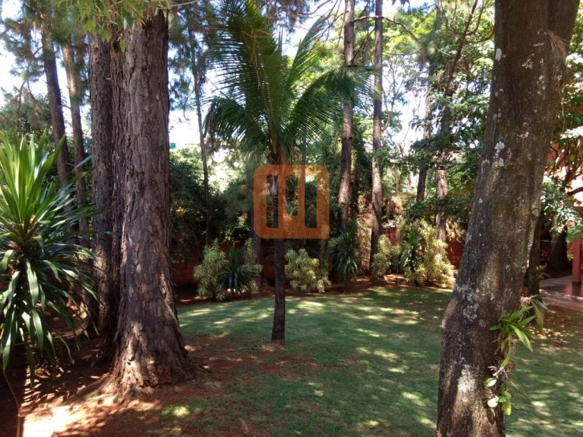 Casa para comprar em Ribeirânia, Ribeirão Preto - Quintal/corredores (unidade) - foto 4 código 64300