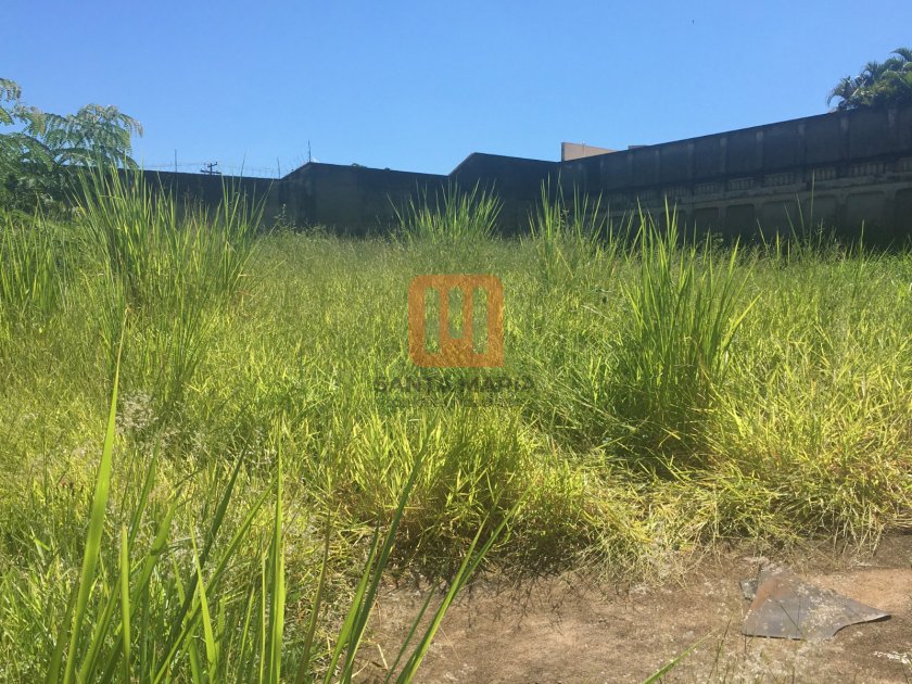 Terreno para comprar em ***em Branco***, Ribeirão Preto - Terreno/Lote (unidade) - foto 2 código 65147