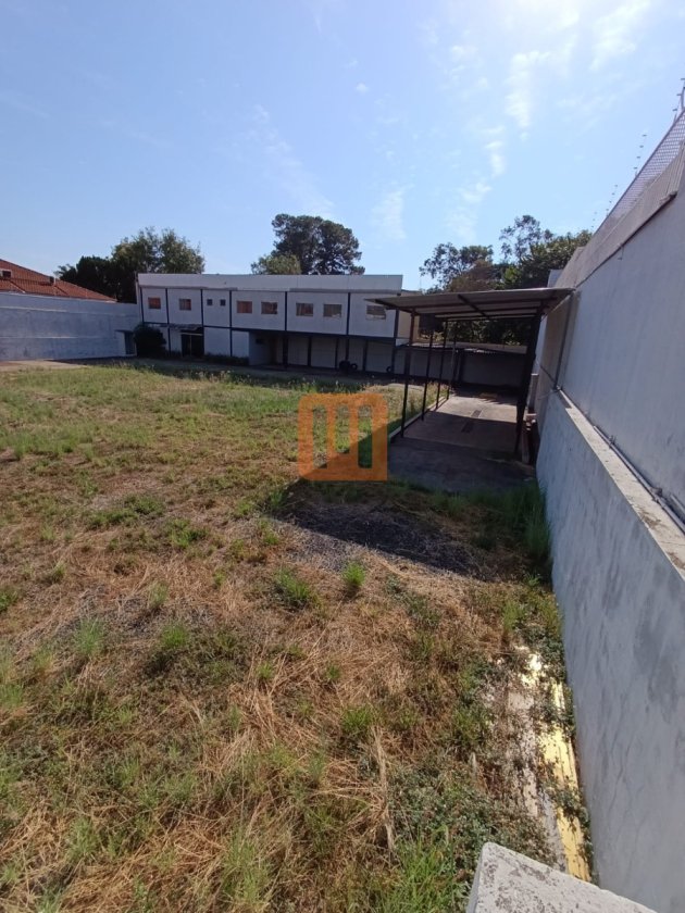Salão-Galpão para comprar em Jardim Sumaré, Ribeirão Preto - Outras (unidade) - foto 3 código 6535