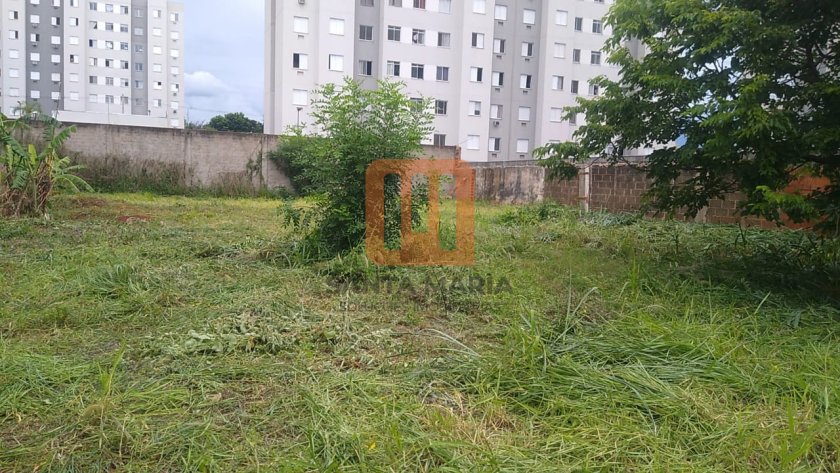Terreno para comprar em Ipiranga, Ribeirão Preto - Terreno/Lote (unidade) - foto 4 código 65440
