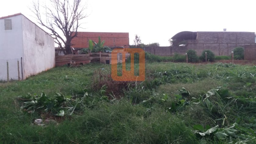 Terreno para comprar em Jardim Salgado Filho, Ribeirão Preto - Outras (unidade) - foto 2 código 65442