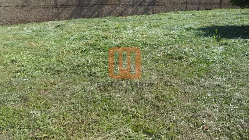 Área para comprar em Marincek, Ribeirão Preto - Terreno/Lote (unidade) - foto 3 código 65947