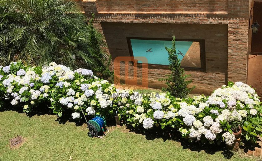 Casa para comprar em Roseira, Mairiporã - Quintal/corredores (unidade) - foto 3 código 66421