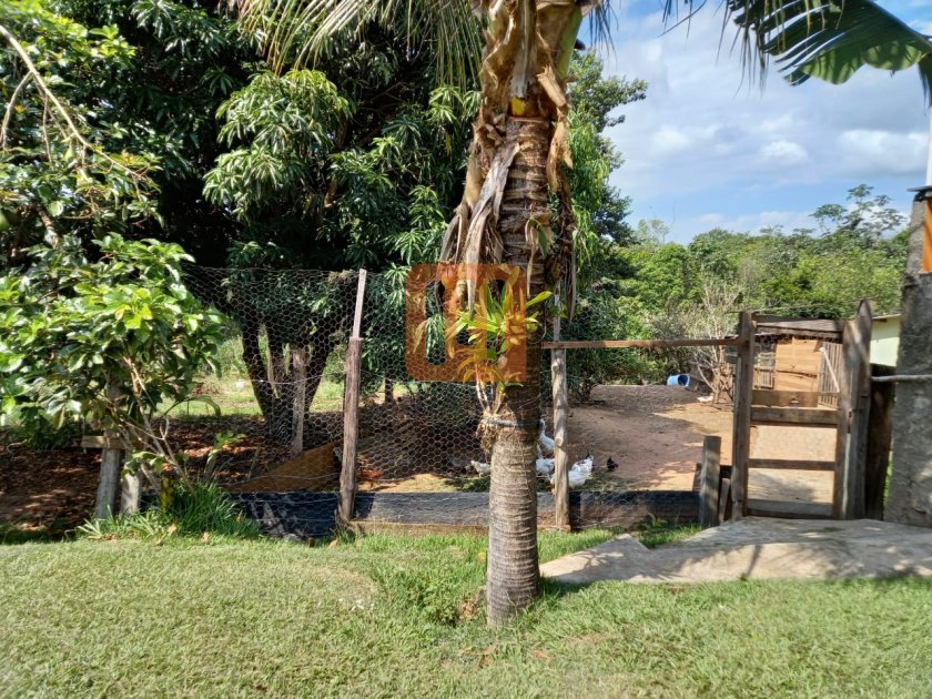 Fazenda-Sítio para comprar em *** em branco***, Tambau - Outras (unidade) - foto 4 código 66682
