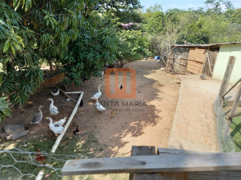 Fazenda-Sítio para comprar em *** em branco***, Tambau - Outras (unidade) - foto 5 código 66682