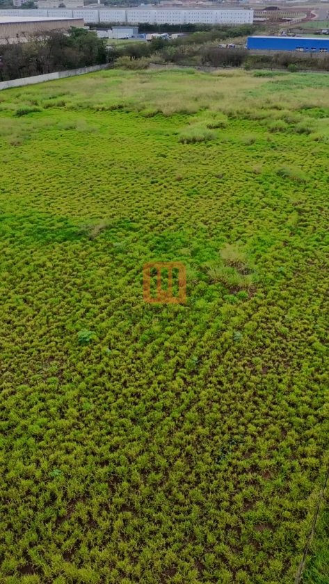 Área para comprar em Jardim Anhanguera, Ribeirão Preto - Terreno/Lote (unidade) - foto 3 código 6800