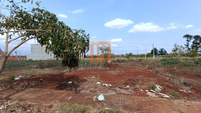Terreno em Jardim Cristo Redentor, Ribeirão Preto