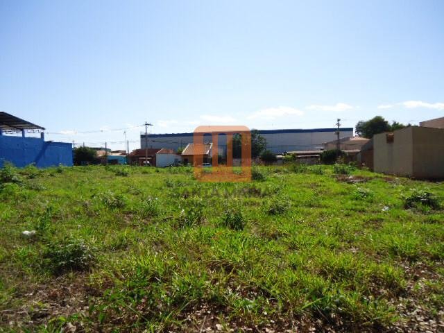 Terreno para comprar em Jardim Salgado Filho, Ribeirão Preto - Terreno/Lote (unidade) - foto 4 código 68904