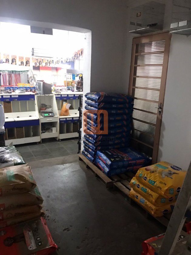 Casa para comprar em Geraldo Correia de Carvalho, Ribeirão Preto - Outras (unidade) - foto 4 código 69395
