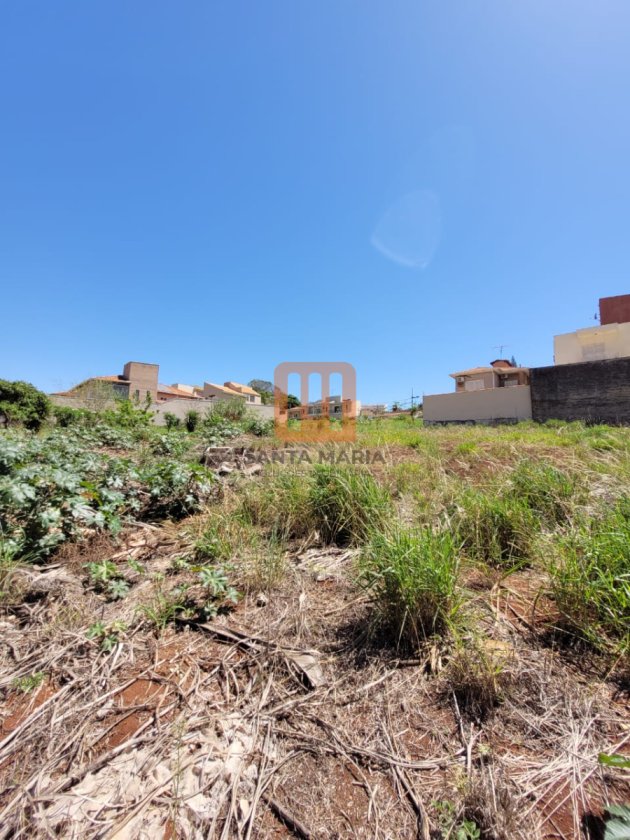 Terreno para comprar em Ribeirânia, Ribeirão Preto - Terreno/Lote (unidade) - foto 3 código 69563