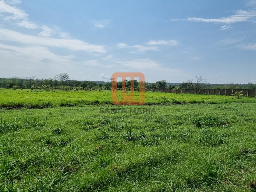 Fazenda-Sítio para comprar em Ribeirão Verde, Ribeirão Preto - Terreno/Lote (unidade) - foto 2 código 71567