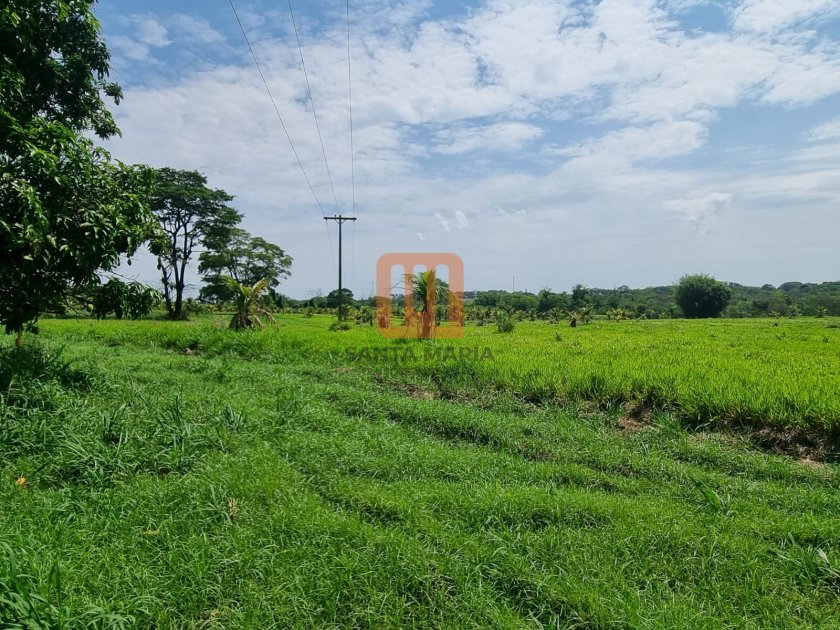 Fazenda-Sítio para comprar em Ribeirão Verde, Ribeirão Preto - Terreno/Lote (unidade) - foto 3 código 71567