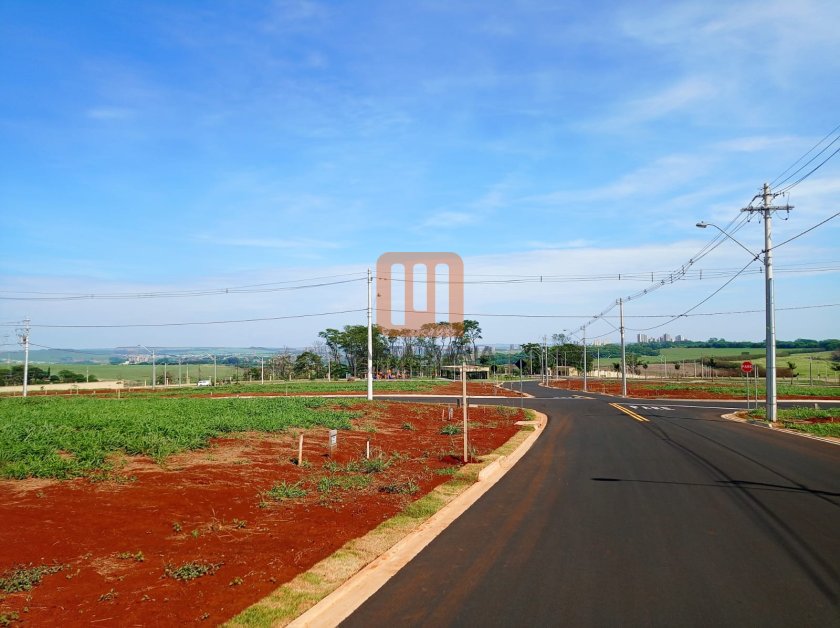 Terreno em Alto do Castelo, Ribeirão Preto
