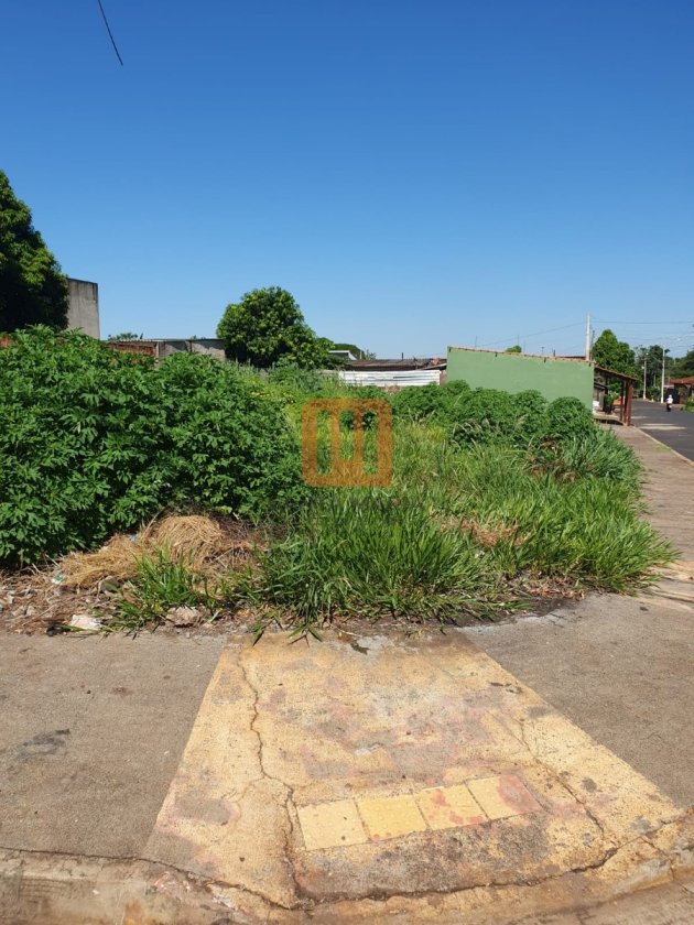 Terreno em Vila Elisa, Ribeirão Preto