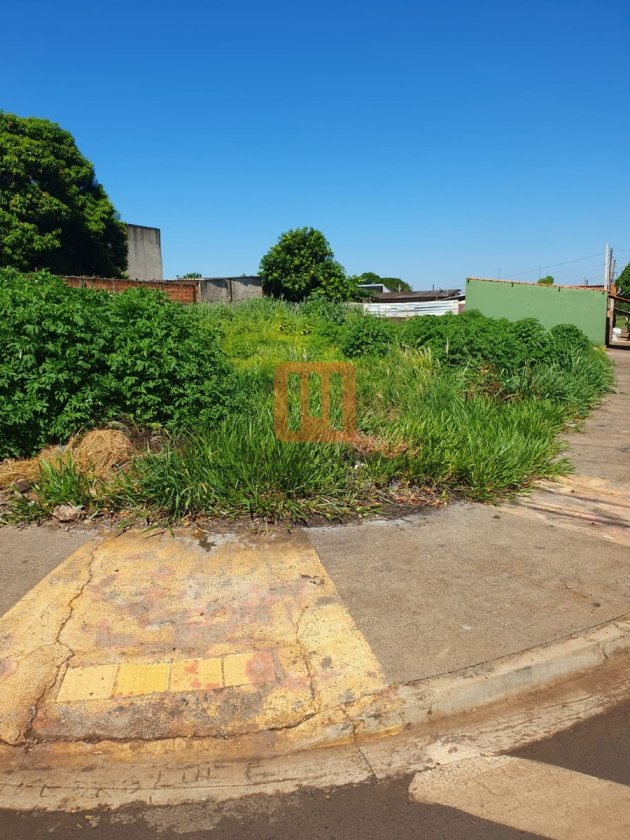 Terreno para comprar em Vila Elisa, Ribeirão Preto - Terreno/Lote (unidade) - foto 2 código 71931