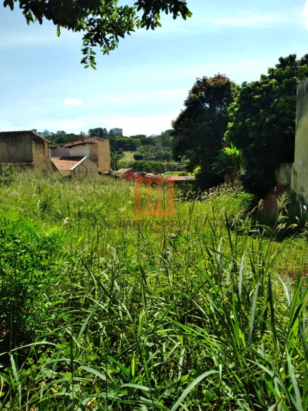 Terreno para comprar em Vila Seixas, Ribeirão Preto - Terreno/Lote (unidade) - foto 3 código 72575