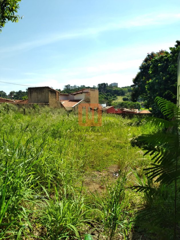 Terreno para comprar em Vila Seixas, Ribeirão Preto - Terreno/Lote (unidade) - foto 4 código 72575