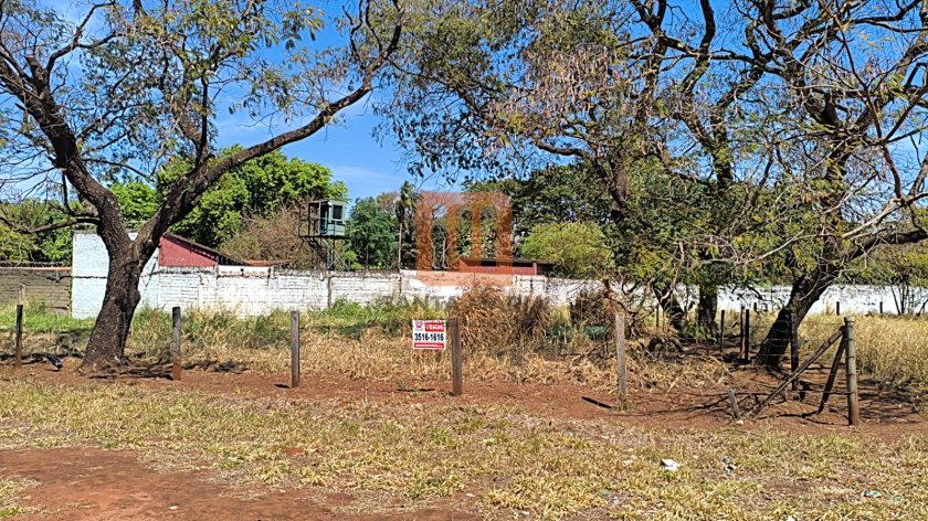 Terreno em Angelo Jurca, Ribeirão Preto
