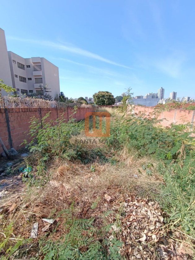 Terreno para comprar em Jardim Paulista, Ribeirão Preto - Terreno/Lote (unidade) - foto 3 código 73312
