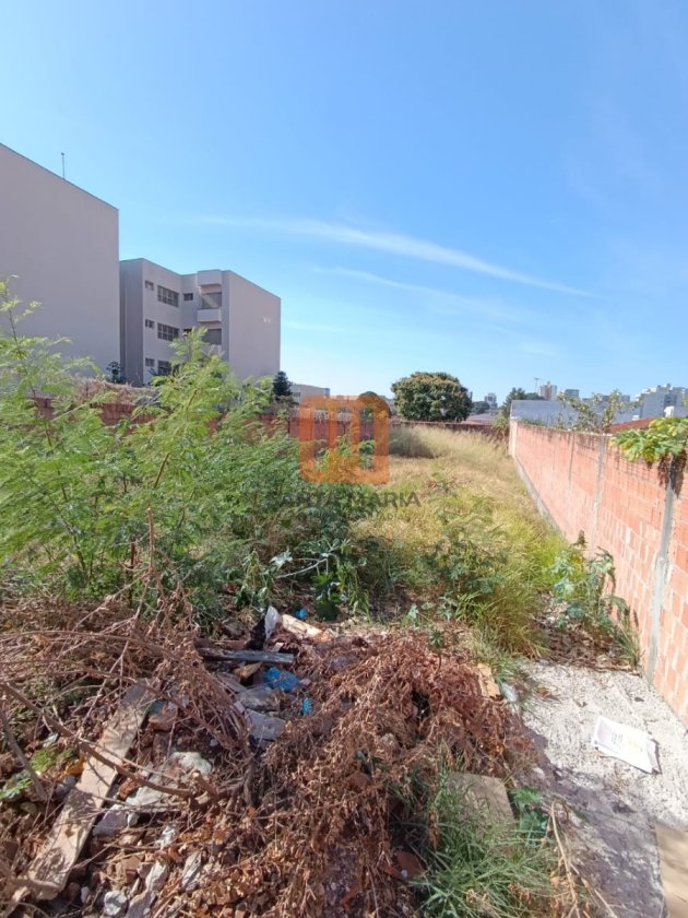 Terreno para comprar em Jardim Paulista, Ribeirão Preto - Terreno/Lote (unidade) - foto 4 código 73312