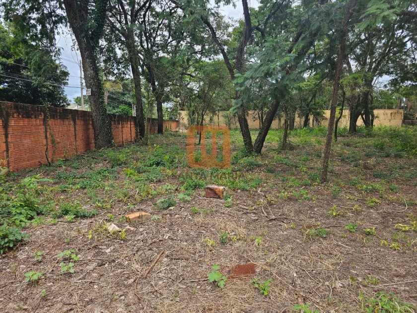 Chácara para comprar em Recreio Internacional, Ribeirão Preto - Terreno/Lote (unidade) - foto 3 código 74478