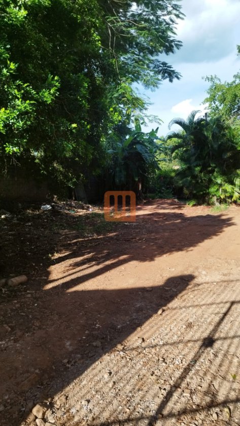 Terreno para comprar em Campos Elíseos, Ribeirão Preto - Terreno/Lote (unidade) - foto 4 código 74520