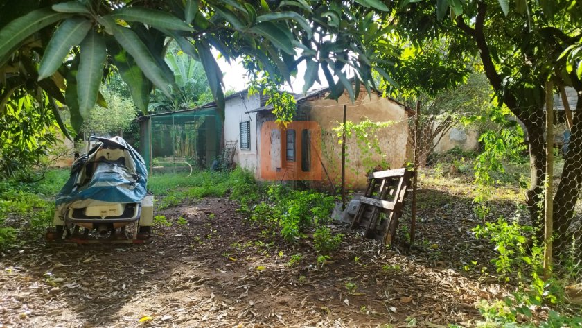 Terreno para comprar em Campos Elíseos, Ribeirão Preto - Terreno/Lote (unidade) - foto 5 código 74520