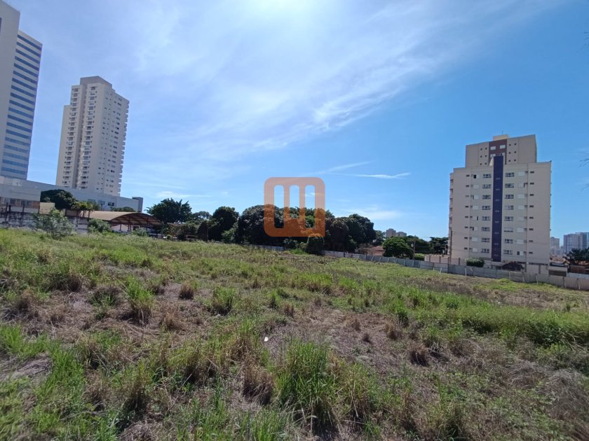 Área para alugar em Jardim Irajá, Ribeirão Preto - Terreno/Lote (unidade) - foto 5 código 74685