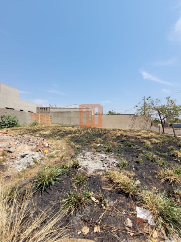 Terreno para comprar em Santa Cecília (Bonfim Paulista), Ribeirão Preto - Terreno/Lote (unidade) - foto 2 código 74987