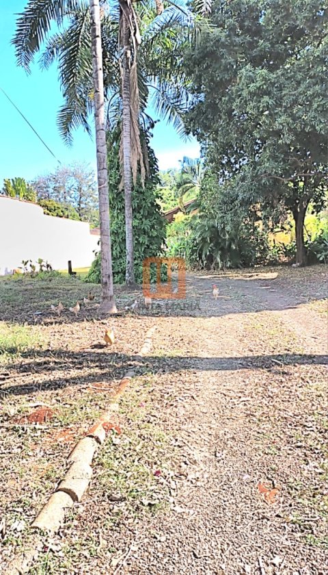 Chácara para comprar em Recreio Das Acácias, Ribeirão Preto - Quintal/corredores (unidade) - foto 4 código 75529