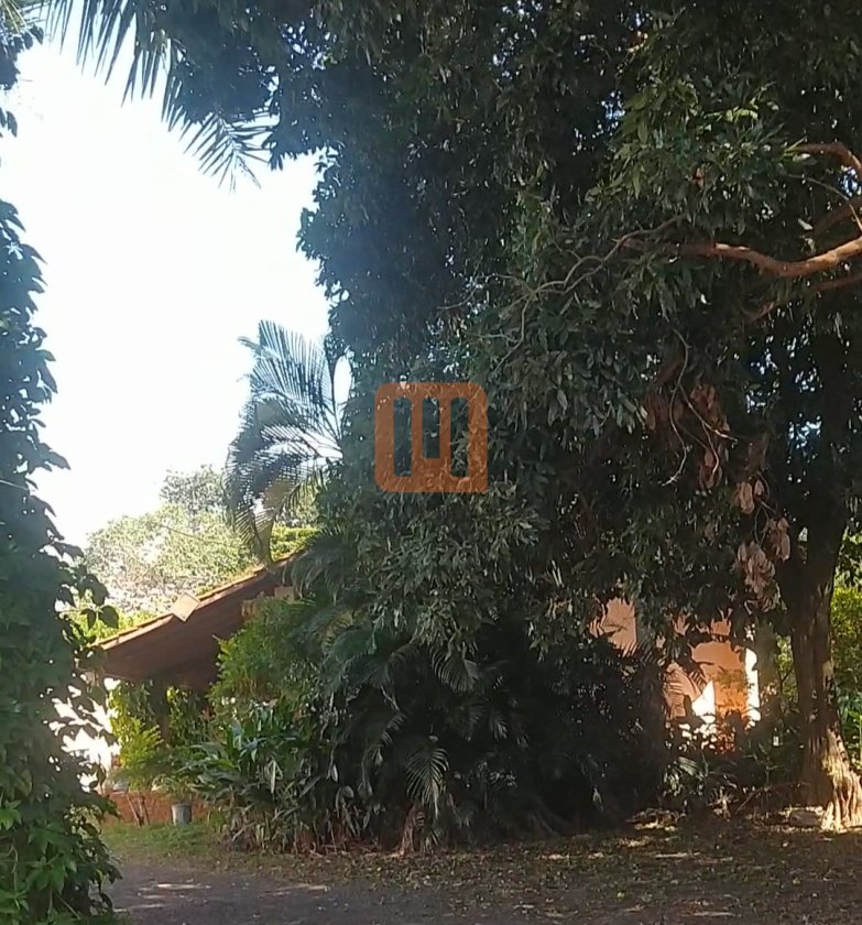 Chácara para comprar em Recreio Das Acácias, Ribeirão Preto - Quintal/corredores (unidade) - foto 5 código 75529