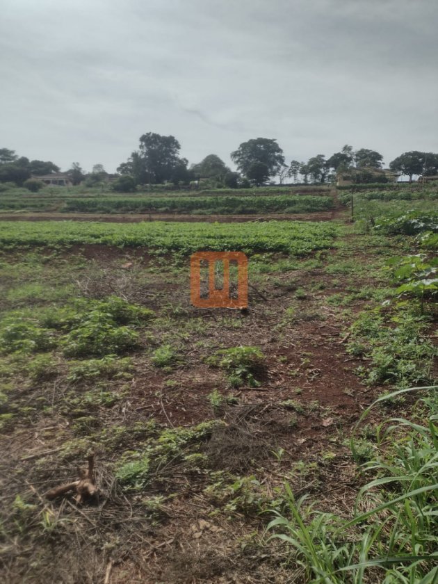 Área para comprar em Jardim Recreio, Ribeirão Preto - Terreno/Lote (unidade) - foto 2 código 76020