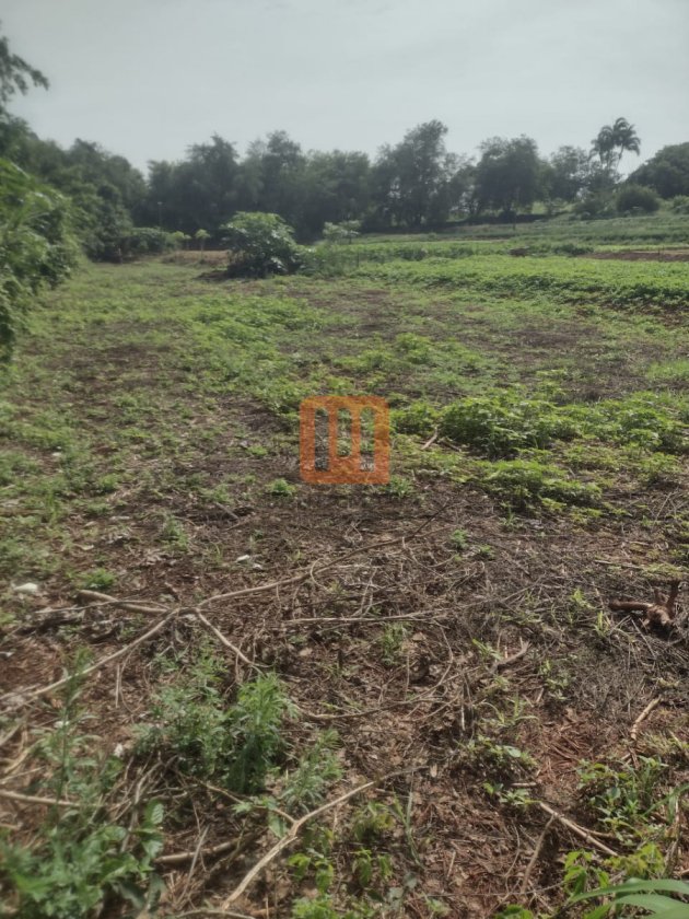 Área para comprar em Jardim Recreio, Ribeirão Preto - Terreno/Lote (unidade) - foto 3 código 76020