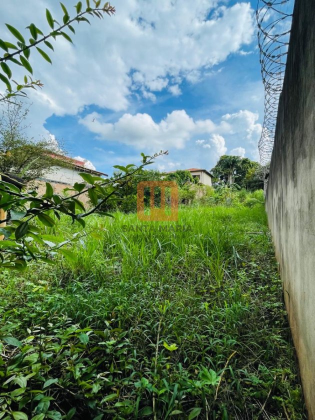 Terreno para comprar em Jardim Recreio, Ribeirão Preto - Terreno/Lote (unidade) - foto 3 código 76673