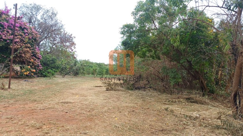 Terreno em Chácaras Pedro Correa De Carvalho, Ribeirão Preto