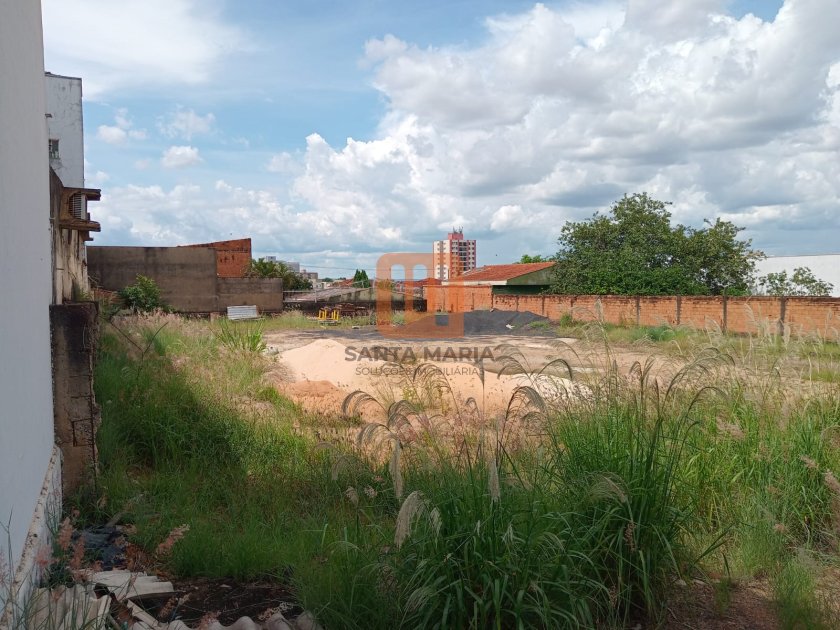 Terreno para comprar em Monte Alegre, Ribeirão Preto - Terreno/Lote (unidade) - foto 2 código 76977