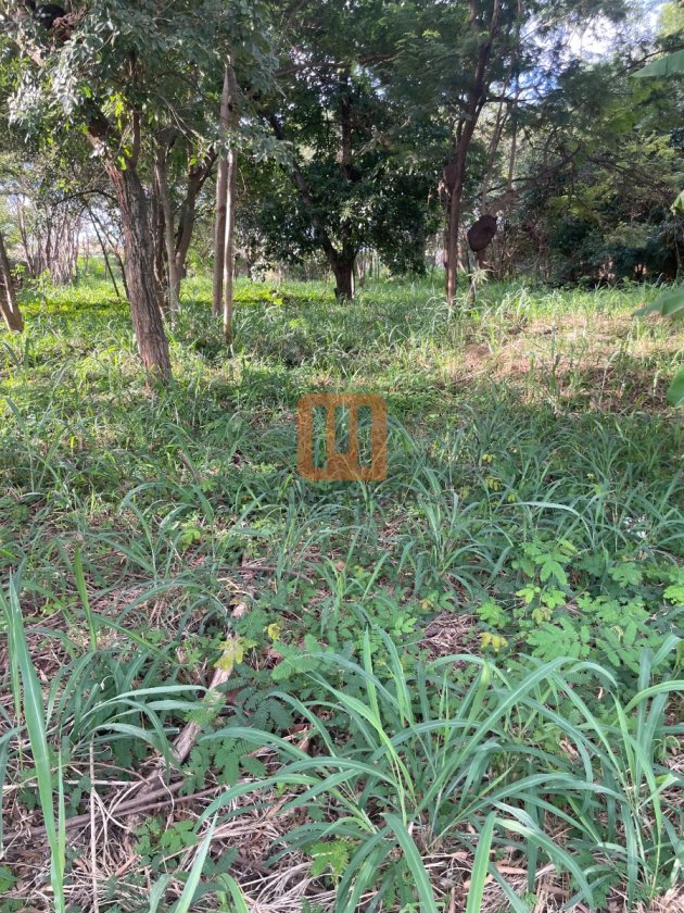 Terreno para comprar em Ribeirânia, Ribeirão Preto - Terreno/Lote (unidade) - foto 5 código 77059