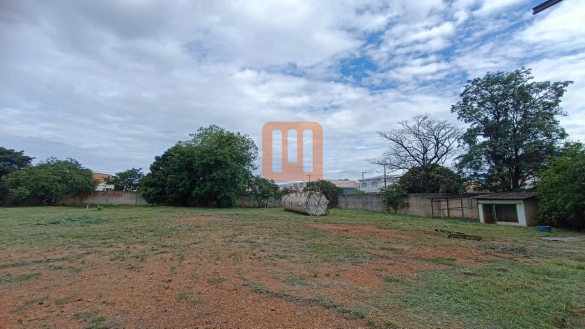 Terreno para alugar em Vila Elisa, Ribeirão Preto - Terreno/Lote (unidade) - foto 3 código 77074