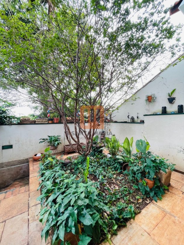 Casa para alugar em *****, Ribeirão Preto - Jardim (unidade) - foto 3 código 77179