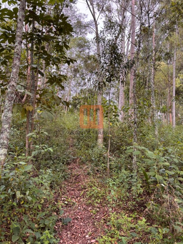 Fazenda-Sítio para comprar em Beira Rio, Sacramento - Terreno/Lote (unidade) - foto 2 código 77260