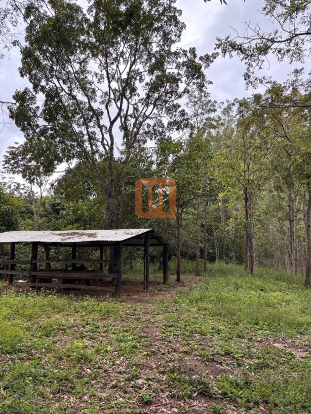 Fazenda-Sítio para comprar em Beira Rio, Sacramento - Terreno/Lote (unidade) - foto 3 código 77260