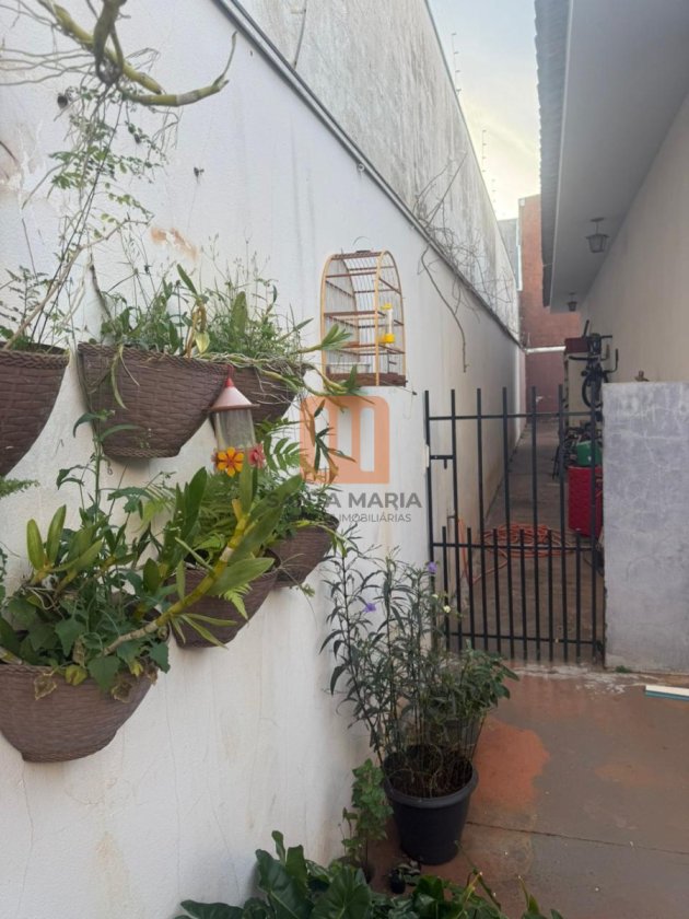 Casa para comprar em Candido Portinari, Ribeirão Preto - Quintal/corredores (unidade) - foto 5 código 77504