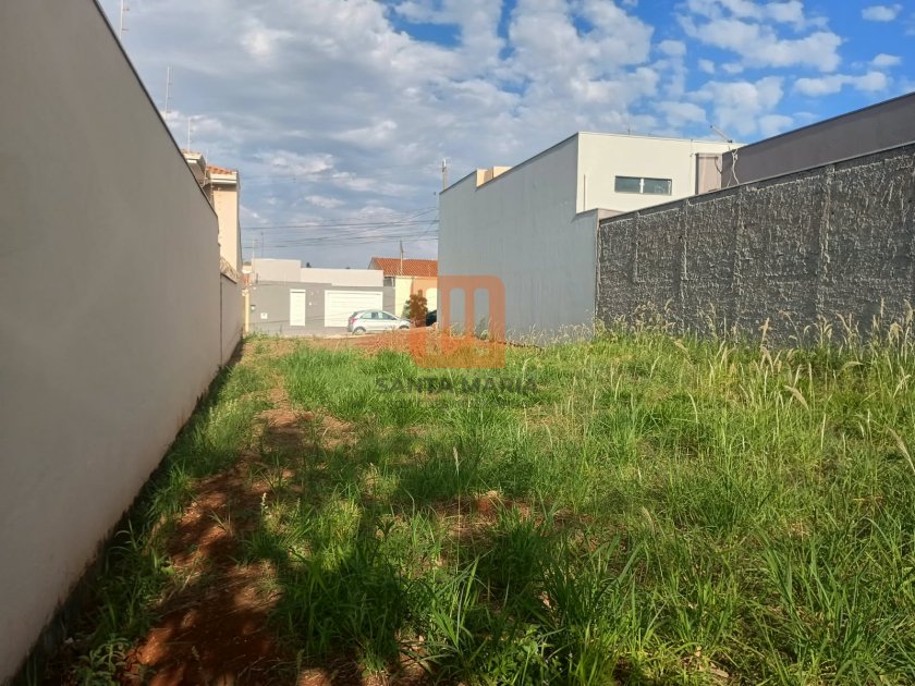 Terreno para comprar em Santa Cecília (Bonfim Paulista), Ribeirão Preto - Terreno/Lote (unidade) - foto 2 código 77736