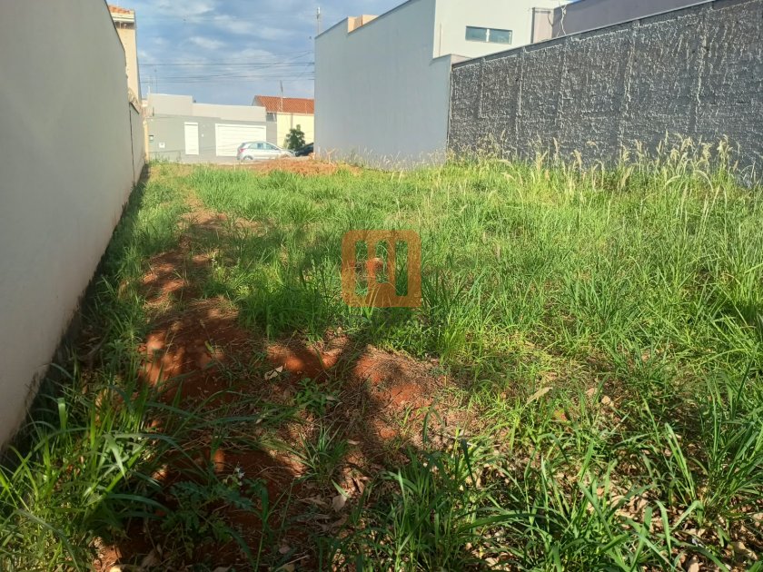 Terreno para comprar em Santa Cecília (Bonfim Paulista), Ribeirão Preto - Terreno/Lote (unidade) - foto 3 código 77736