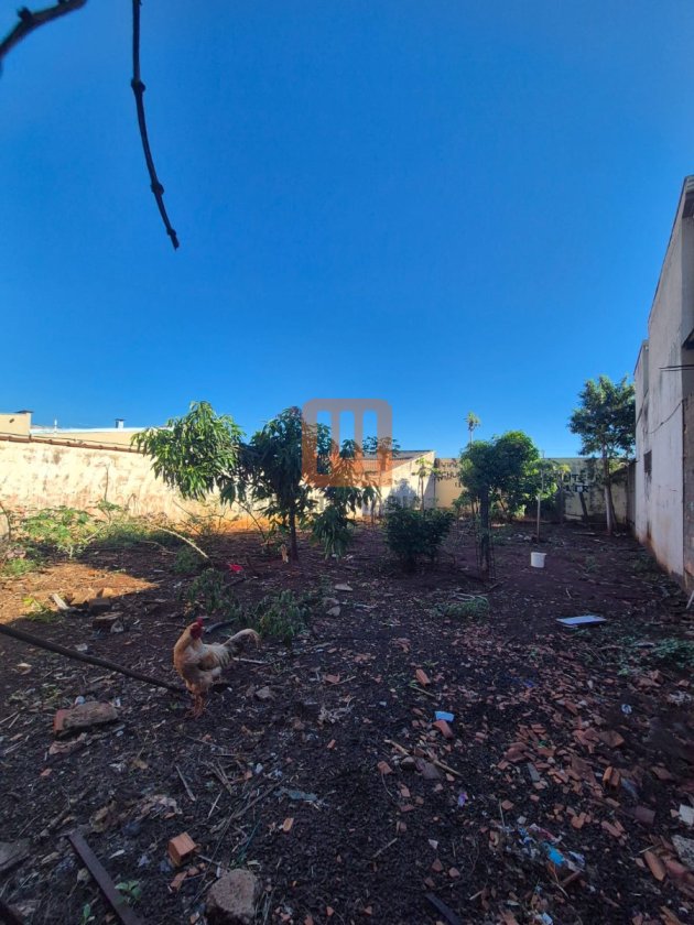 Terreno para alugar em Candido Portinari, Ribeirão Preto - Terreno/Lote (unidade) - foto 2 código 77926