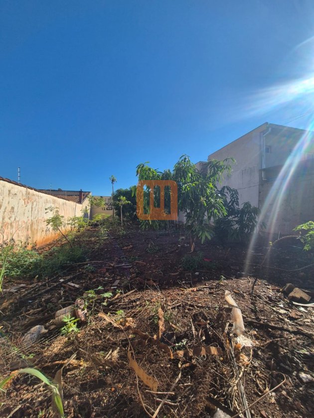 Terreno para alugar em Candido Portinari, Ribeirão Preto - Terreno/Lote (unidade) - foto 3 código 77926