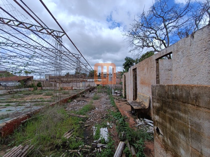 Terreno para comprar em Monte Alegre, Ribeirão Preto - Terreno/Lote (unidade) - foto 3 código 77953