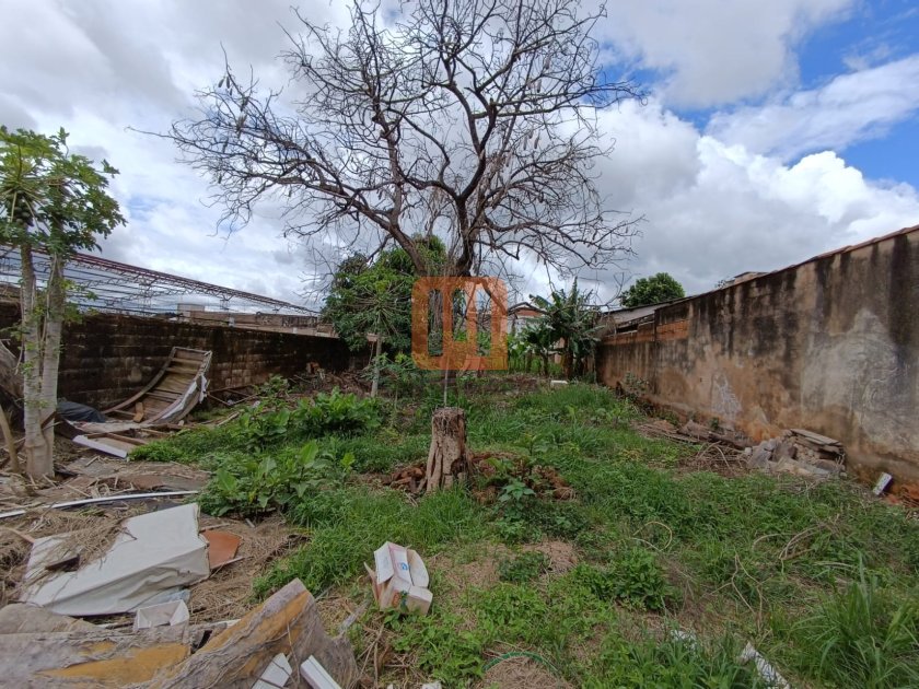 Terreno para comprar em Monte Alegre, Ribeirão Preto - Terreno/Lote (unidade) - foto 4 código 77953